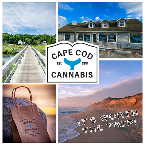 Cape Cod Cannabis...it's worth the trip!