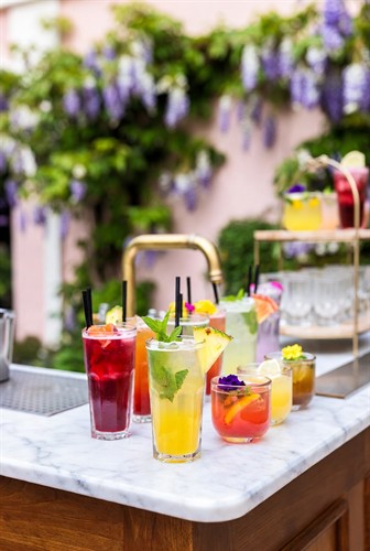 Mocktails for Under 21 Crowd