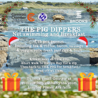 The PIG Dippers - Christmas Edition - Net-Swimming and Breakfast Club