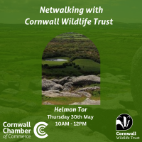 New Members Net-Walking on Helman Tor with Cornwall Wildlife Trust