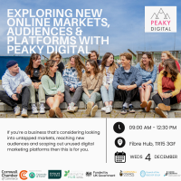 Exploring New Online Markets, Audiences & Platforms with Peaky Digital