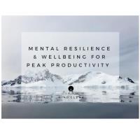 Workshop: Mental Resilience & Wellbeing for Peak Productivity