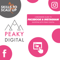 Skills to Scale up- Beginners Guide to Facebook and Instagram Shopping 