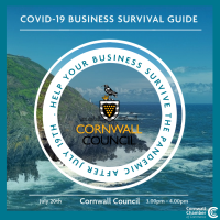 Covid-19 Business Survival Guide