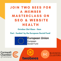 Two Bees Member Masterclass on SEO & Website Health 