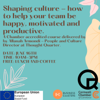 Shaping culture - how to help your team be happy, motivated and productive.
