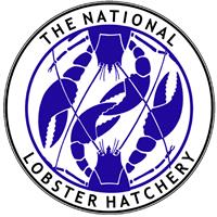 Free open evening at the National Lobster Hatchery for local businesses!