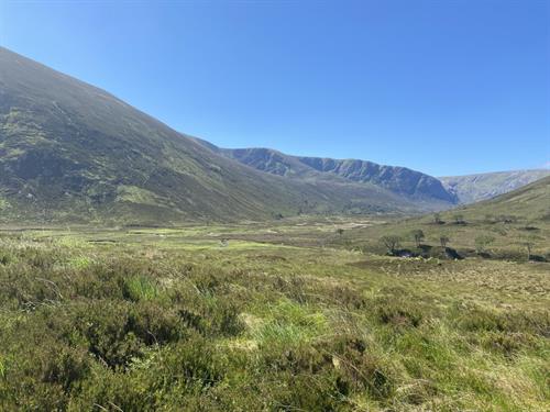 Alladale Wilderness reserve supporting Scotlands biggest re-wilding project