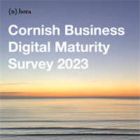 Unlocking Digital Potential: {n}.bora's Cornish Business Digital Maturity Survey 2023