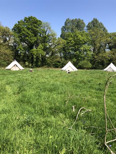 Wild Glamping: Wild Camping in Bell Tent Comfort