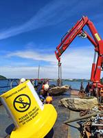 Falmouth’s new “Blue Meadows” buoys protecting seagrass fields - News Release: 19/08/2024