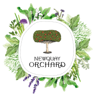 Newquay Orchard Receives The Queens Award for Voluntary Service 