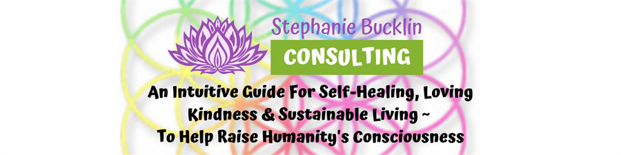 Stephanie Bucklin Consulting LLC