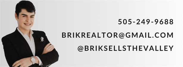 BrikSellsTheValley