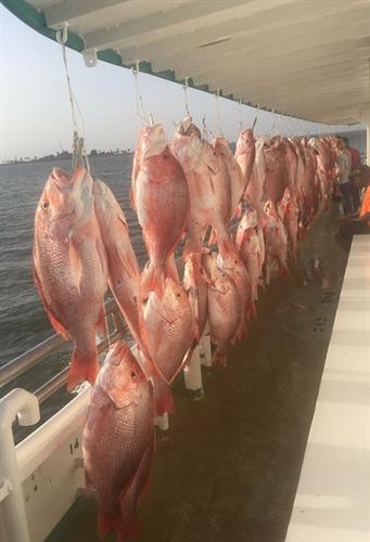 End of a 12 hour trip during red snapper season!!
