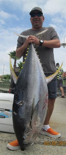 An amazing catch from a Tuna trip!