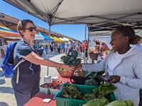 Galveston's Own Farmers Market