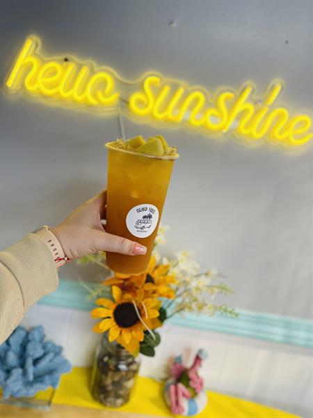 Hazy Daze Cove View Blvd Galveston