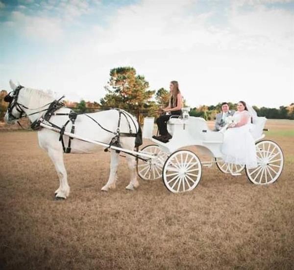 Rosario`s Flying Pizza & Pub