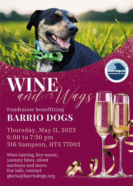 Seek Peace Yoga Galveston