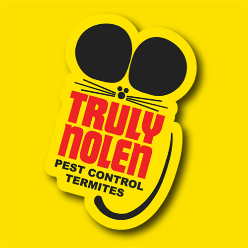 Gallery Image 600x600(2).png