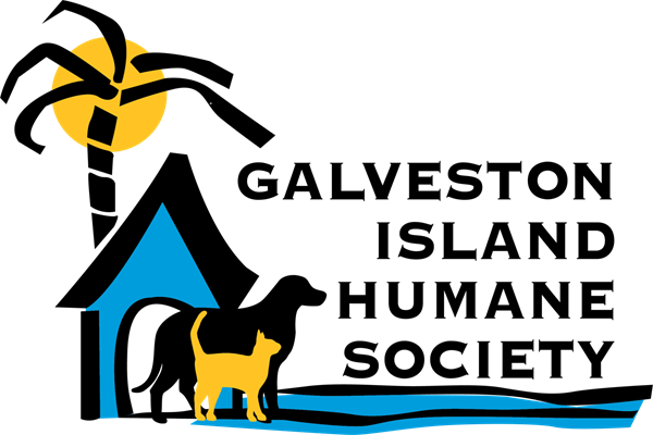 Seek Peace Yoga Galveston