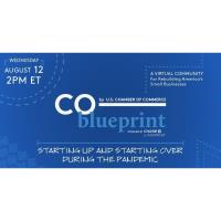 CO— Blueprint: Starting Up and Starting Over During the Pandemic