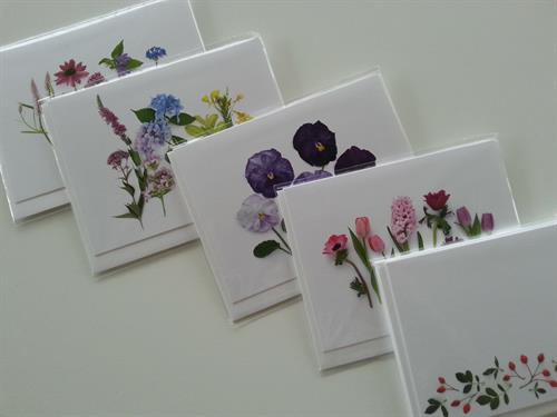 Gallery Image botanicalcards39.jpg Gallery Image botanicalcards39.jpg