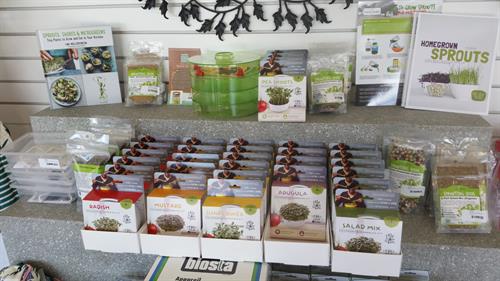 Gallery Image sproutsandmicrogreens.jpg Gallery Image sproutsandmicrogreens.jpg