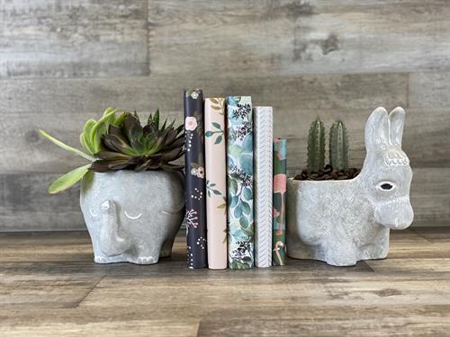 You'll find many fun, functional sculptures, as well as florals and many home accents. You'll find many fun, functional sculptures, as well as florals and many home accents.