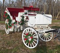 TDRCarriages, LLC - aledo