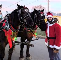 Horse Drawn Wagon Rides by TDR Carriages - Mississippi Valley Fair Christmas Drive-thru