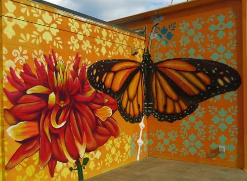 Butterfly Building Butterfly Building