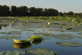 Nahant Marsh Education Center