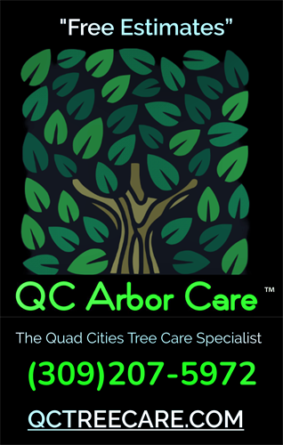 Gallery Image QCARBC_Poster_remastered.png Gallery Image QCARBC_Poster_remastered.png