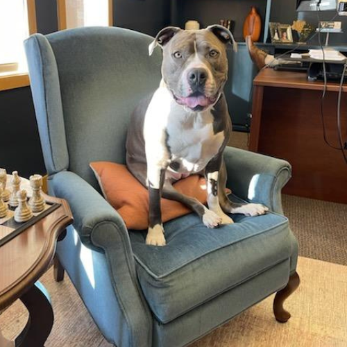 Suki Tenebruso at the Sun Prairie office