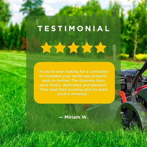 Gallery Image Testimonial_Template.jpg