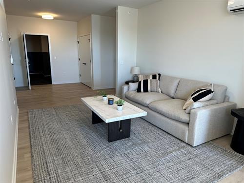 1 Bedroom Unit - Living Room