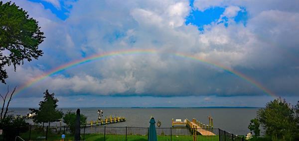 Savour the Rainbows Savour the Rainbows