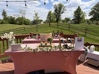 Chesapeake Bartenders and Events