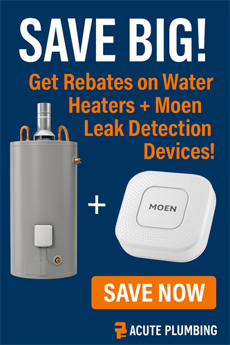 Moen Flo Leak Detection and Water Heater Replacement