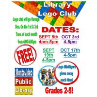Library LEGO Club