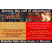 Dungeons & Dragons at the Montevideo Library