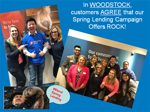 Gallery Image Spring_Leding.png