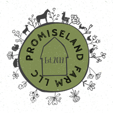 Promiseland Farm LLC