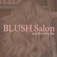 Blush Salon and Blowdry Bar 