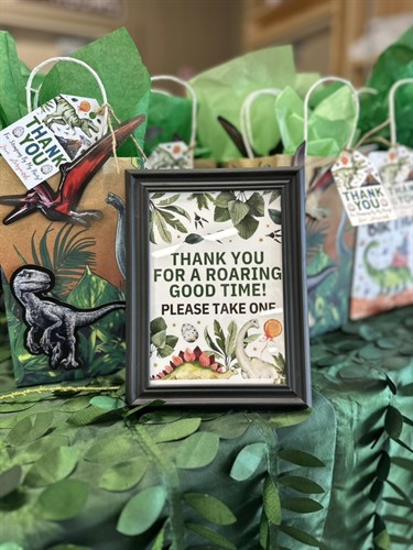 Dinosaur Birthday Party