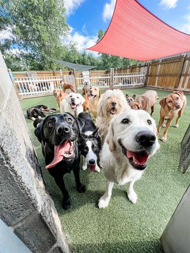 Indoor and Outdoor daycare space