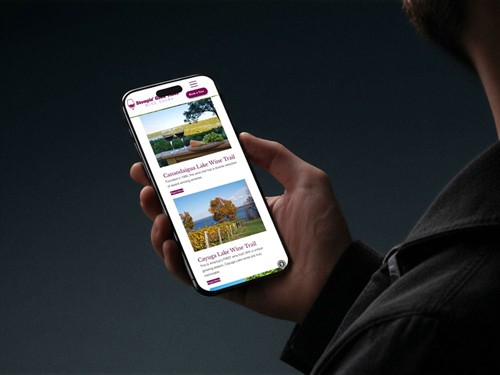 Stompin Good Times mobile website