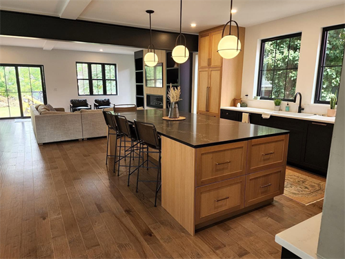 kitchen and family room remodel